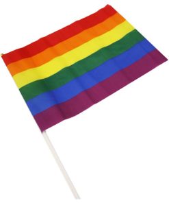 PRIDE - BANDERIN MEDIANO BANDERA LGBT