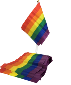 PRIDE - BANDERIN PEQUEÑO BANDERA LGBT